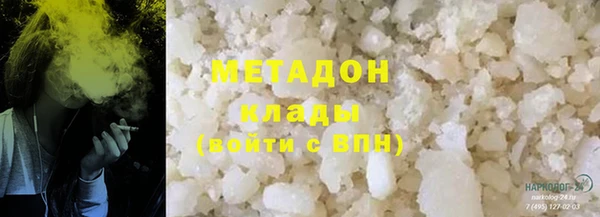 индика Аркадак
