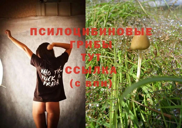 индика Аркадак