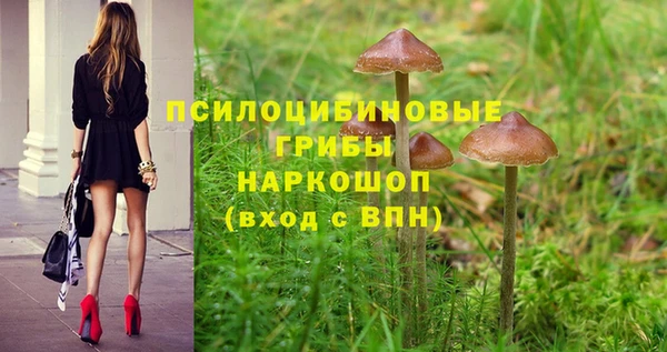 дмт Арсеньев