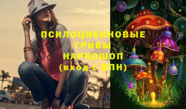 дмт Арсеньев