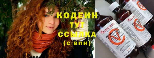индика Аркадак