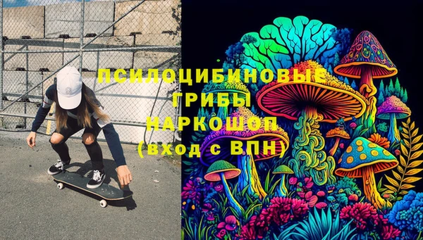дмт Арсеньев