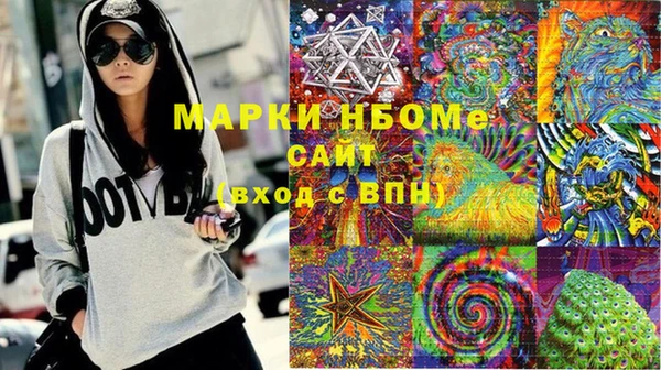 индика Аркадак